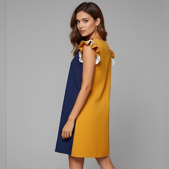 Ruffle Color Block  Dress - Picture 4 of 7